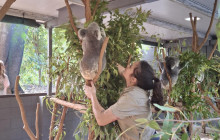 Adventure Day Trips Brisbane4
