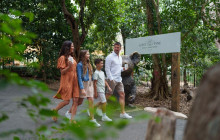 Adventure Day Trips Brisbane6