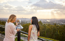 Adventure Day Trips Brisbane20