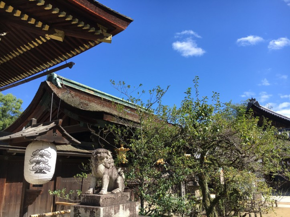 Cycle Kyoto's Full-Day Kyoto North Cycling Tour with Golden Pavilion & Gion