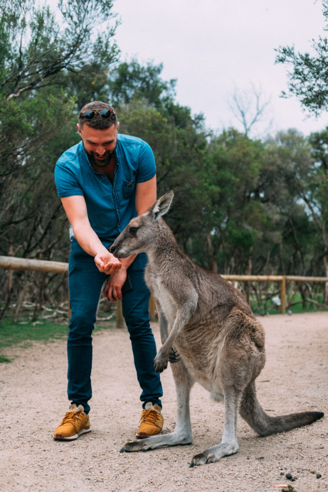 City to Country Experience – Private Day Tour