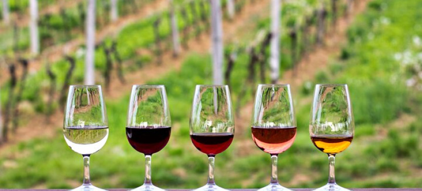 Private Wine Tour in Sedona, Arizona