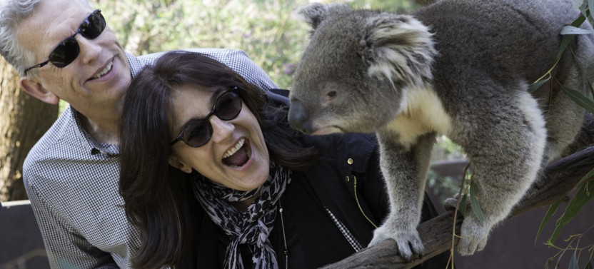 Yarra Valley Wine and Wildlife – Private Day Tour