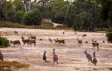 Localing Private Experiences5