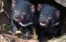 Localing Private Experiences85