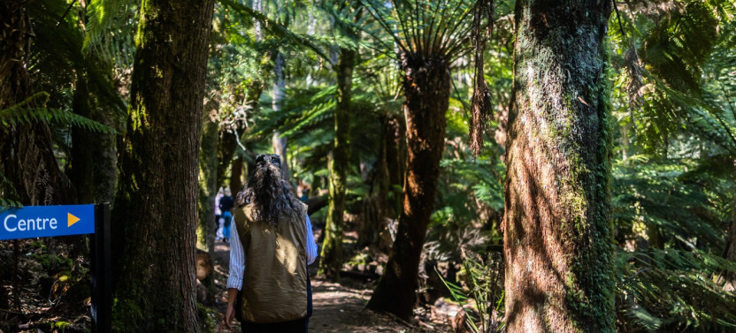 Peaks, Falls & Furry Locals: Mt. Field & The Derwent Private Day
