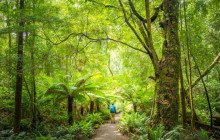 Localing Private Experiences81