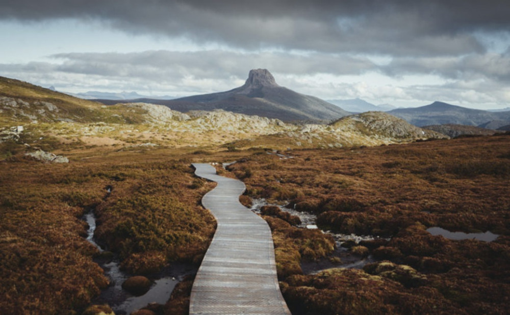 Multi-Day: Tasmanian Highlights (ex.Hobart)