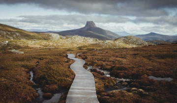 A picture of Multi-Day: Tasmanian Highlights (ex.Hobart)