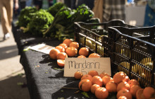 Localing Private Experiences2