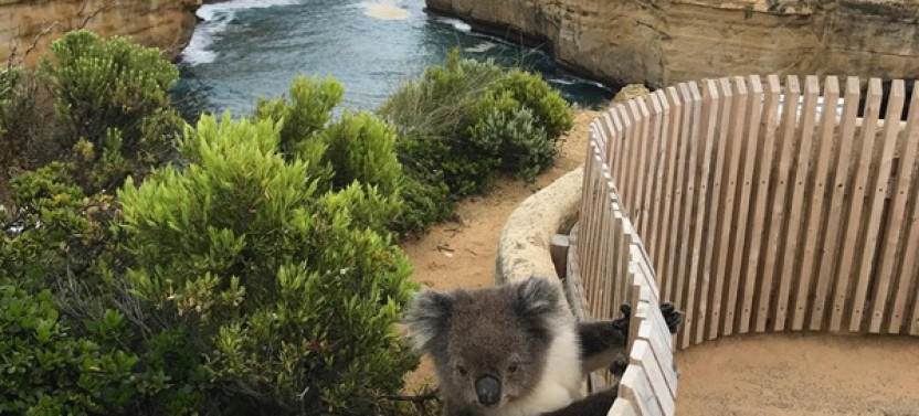 Melbourne to Adelaide (or reverse) – Point-to-Point Adventure