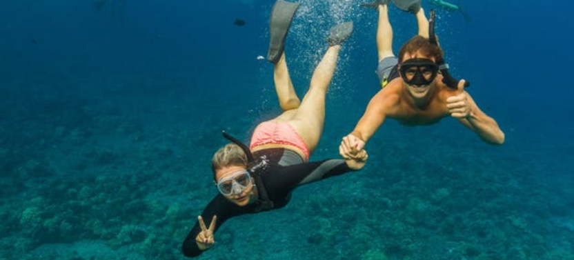 Molokini & Turtle Adventure
