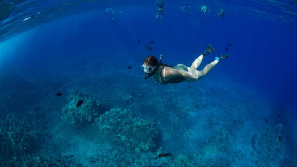 Molokini Wild Side Ma'alaea Maalaea Project Expedition