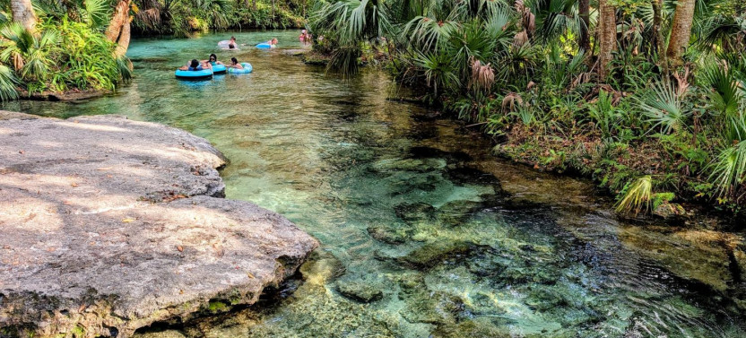 Rock Springs River Tubing & Apopka Wildlife Adventure