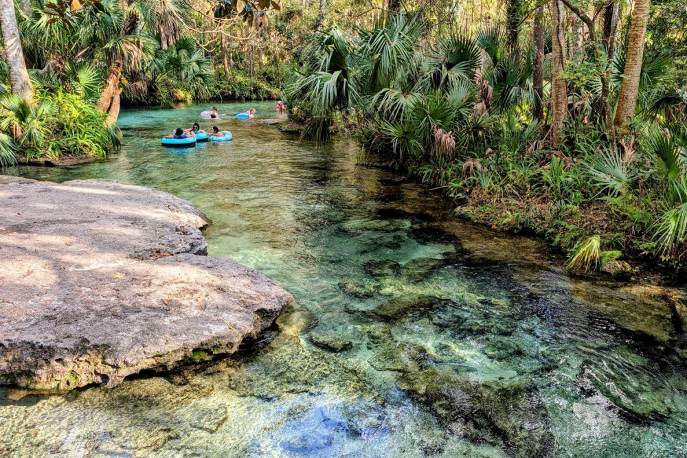 Rock Springs River Tubing & Apopka Wildlife Adventure