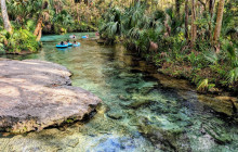 Gray Line Orlando1