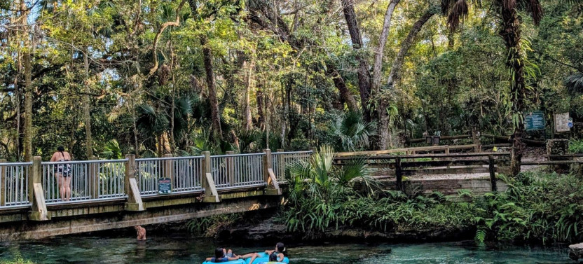 Rock Springs River Tubing & Apopka Wildlife Adventure