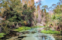 Gray Line Orlando4