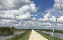 Gray Line Orlando8