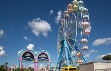 Gray Line Orlando1