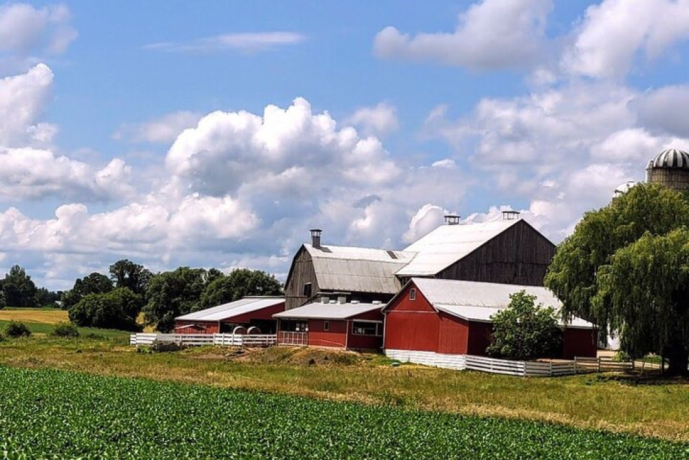 St. Jacobs Market & Mennonite Countryside Tour