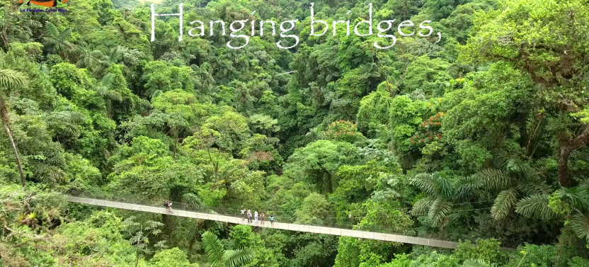 Hanging Bridges Guided Tour