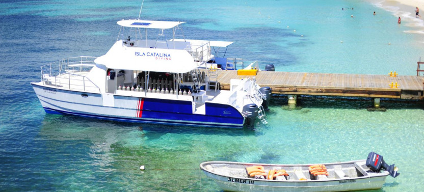 Catalina Island Snorkeling From Bayahibe