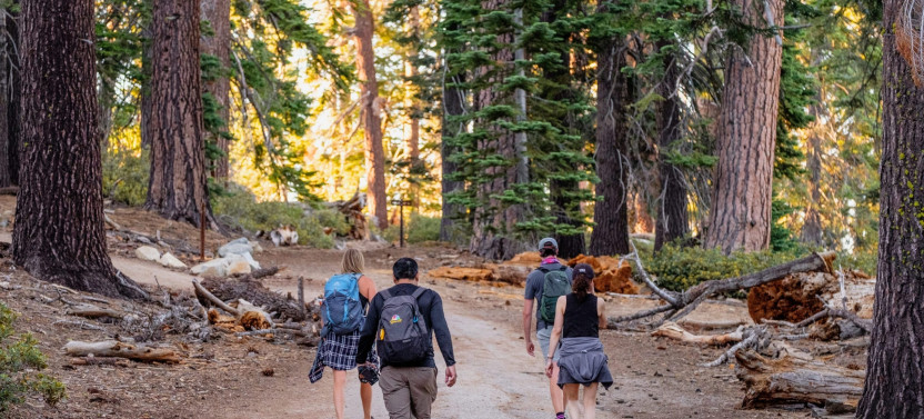 Yosemite & Giant Sequoias Day Tour
