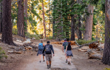 Incredible Adventures446