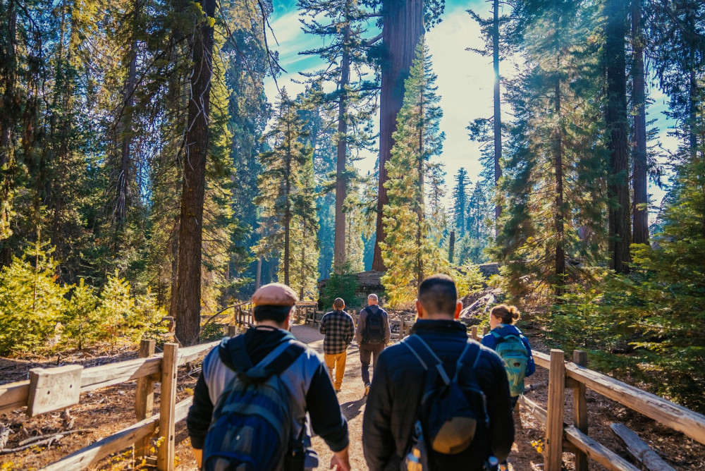 Incredible Adventures