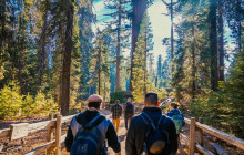 Incredible Adventures447