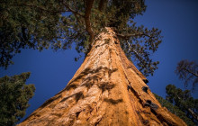 Incredible Adventures449