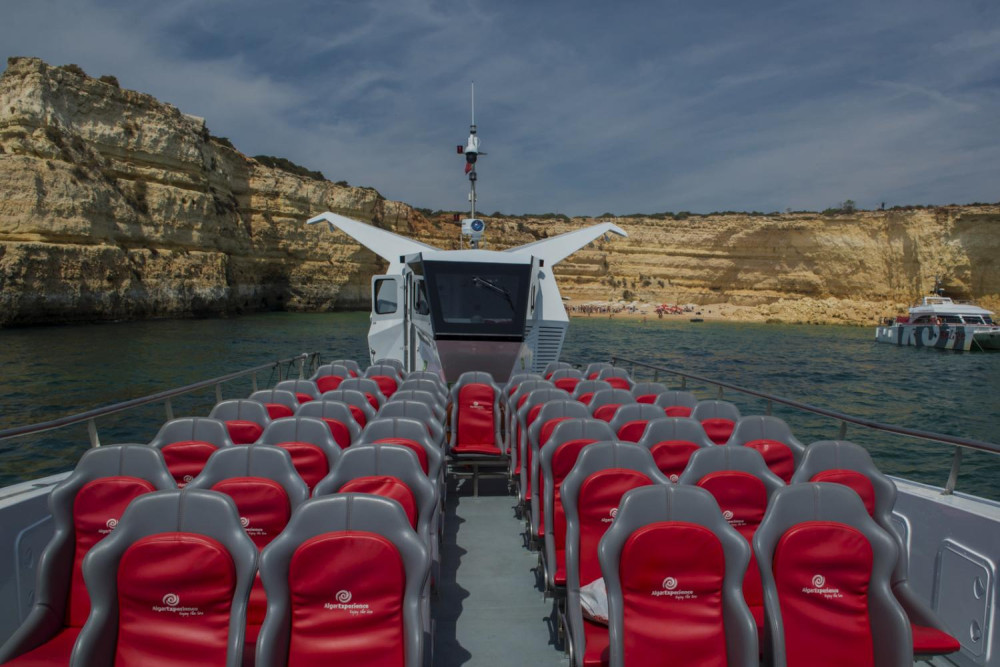 Dolphins & Caves Catamaran Sail