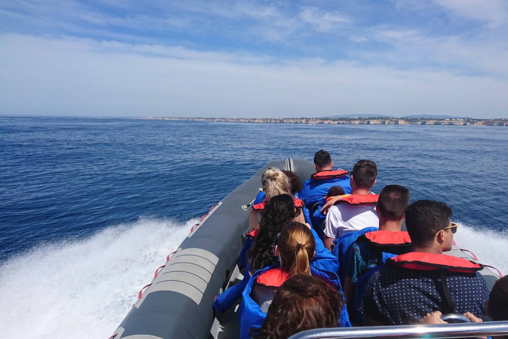 Dolphins & Caves RIB Boat Experience