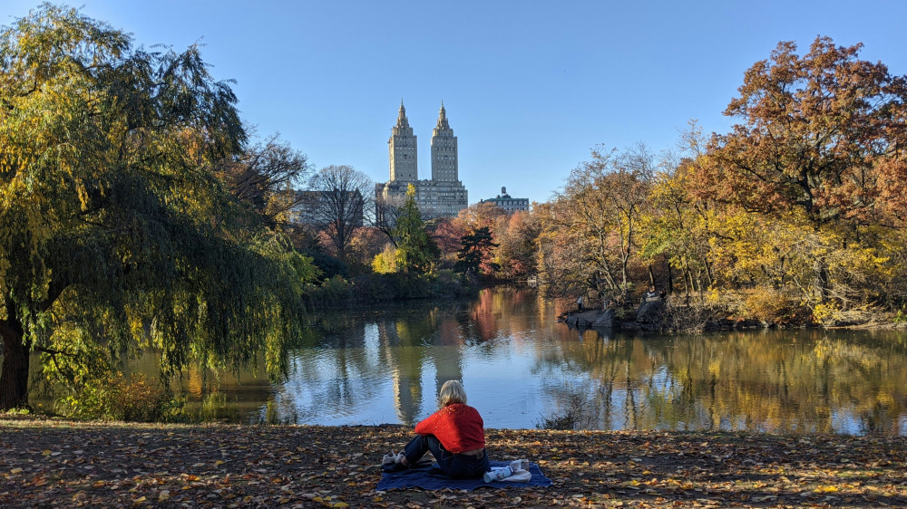NY, Central Park Highlights: Stolen Archives - City Exploration Game