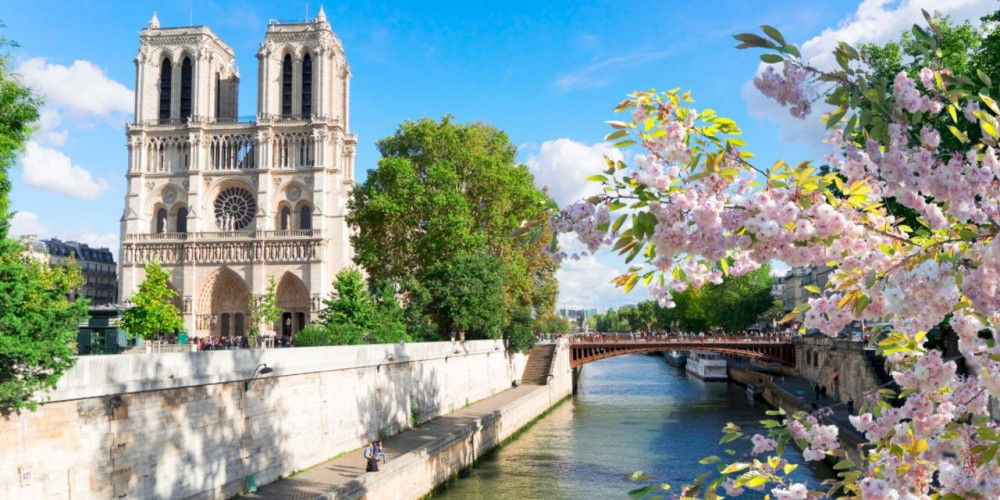 Rouen: Private Shore Excursion to Paris with Panoramic Tour