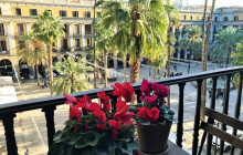 Just Royal BCN S.L.20