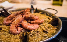 Just Royal BCN S.L.17