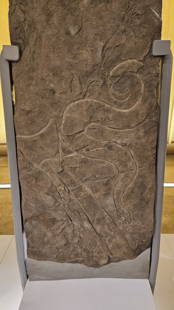 Exploring The Art of the Picts: Power, Propaganda, and Prestige in Early Me