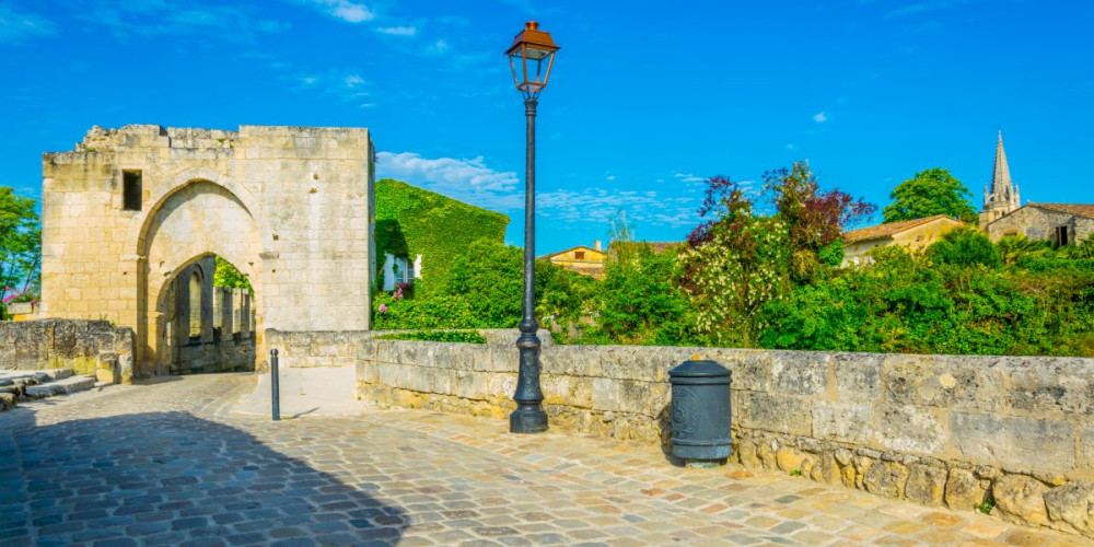 Bordeaux Private Half-Day Excursion: Saint-Emilion Wine Experience