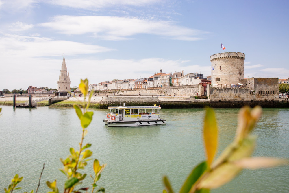 La Rochelle Shore Excursion: Bordeaux Private Wine Tour
