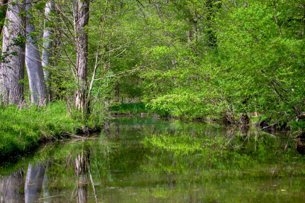 La Rochelle Private Shore Excursion: Green Venice & Wine Tasting