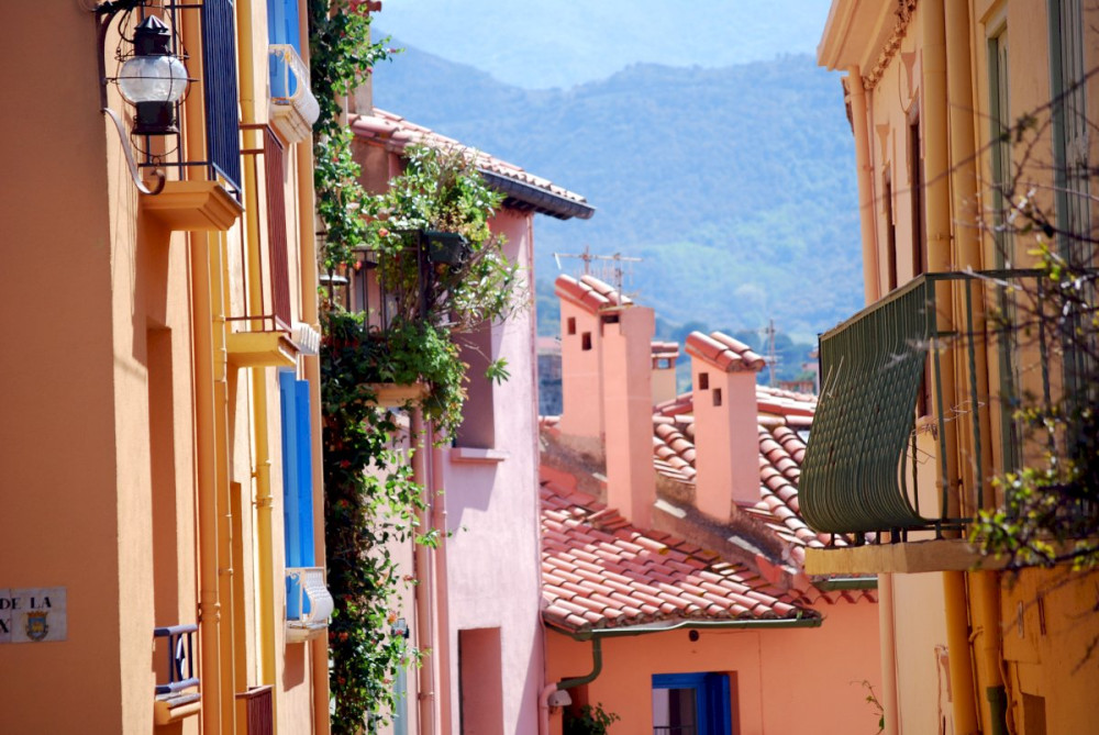 Private Shore Excursion: Collioure and Languedoc from Port Vendres