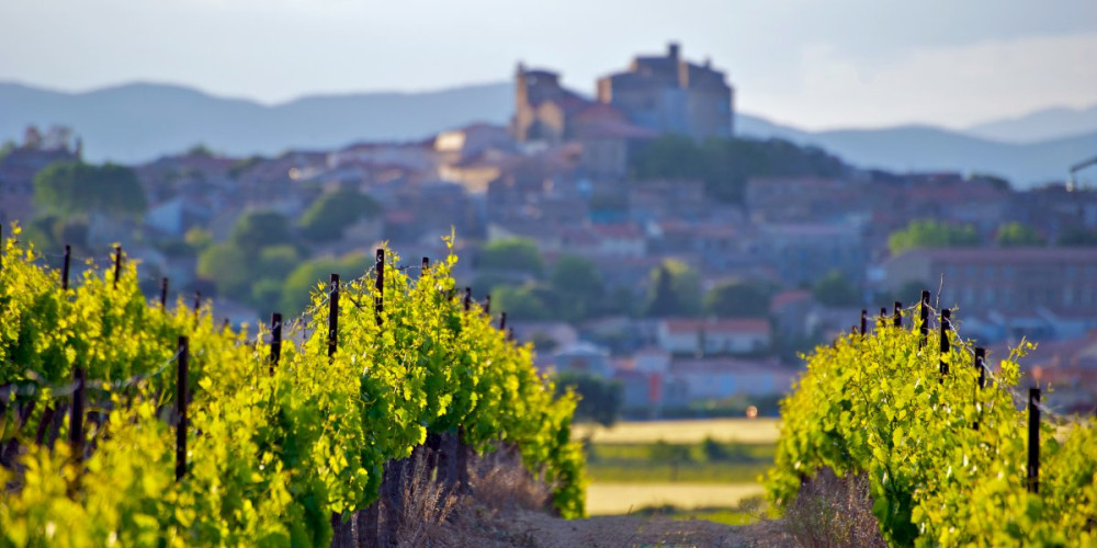 Sète Private Shore Excursion: Languedoc Wine Tasting