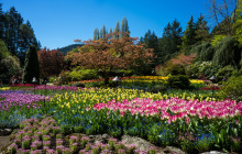 Discover Canada Tours2