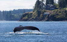 Discover Canada Tours5