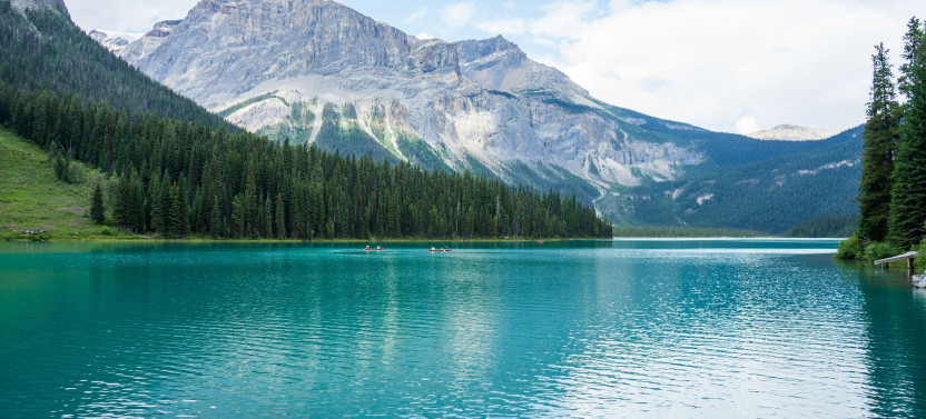 8-Day One-Way Rainforest to Rockies Journey in Western Canada