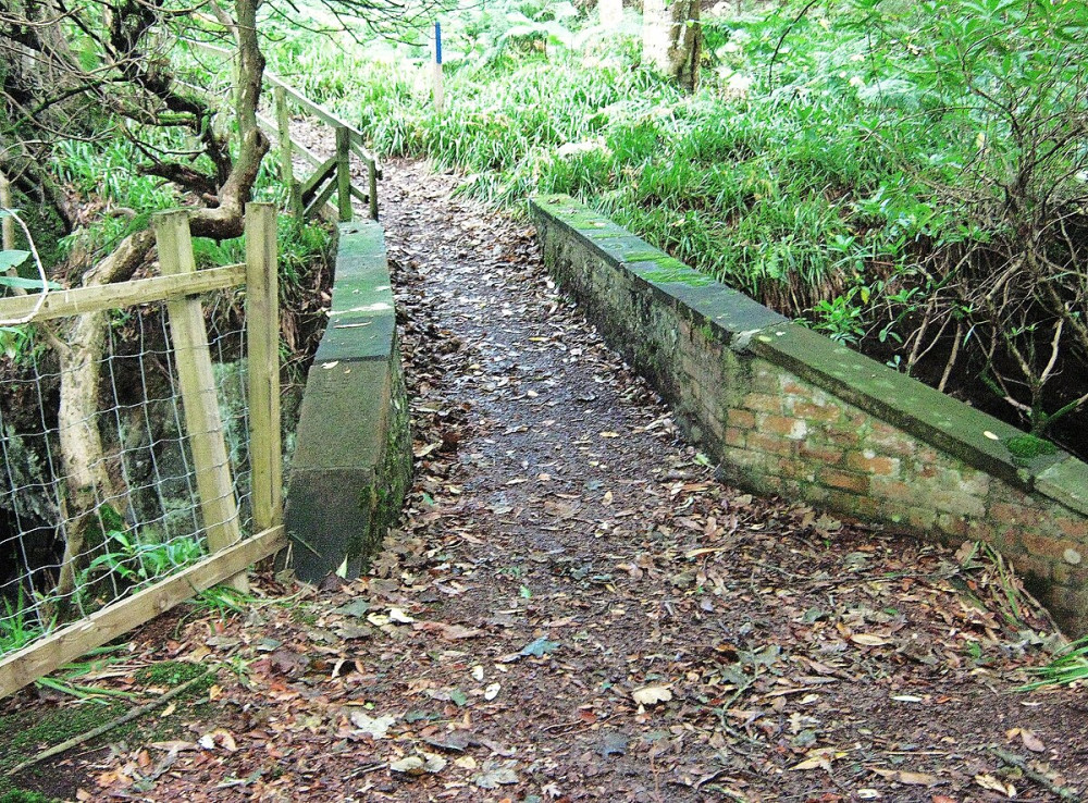 Isle of Man -   Private Viking and Island Highlights Shore Excursion