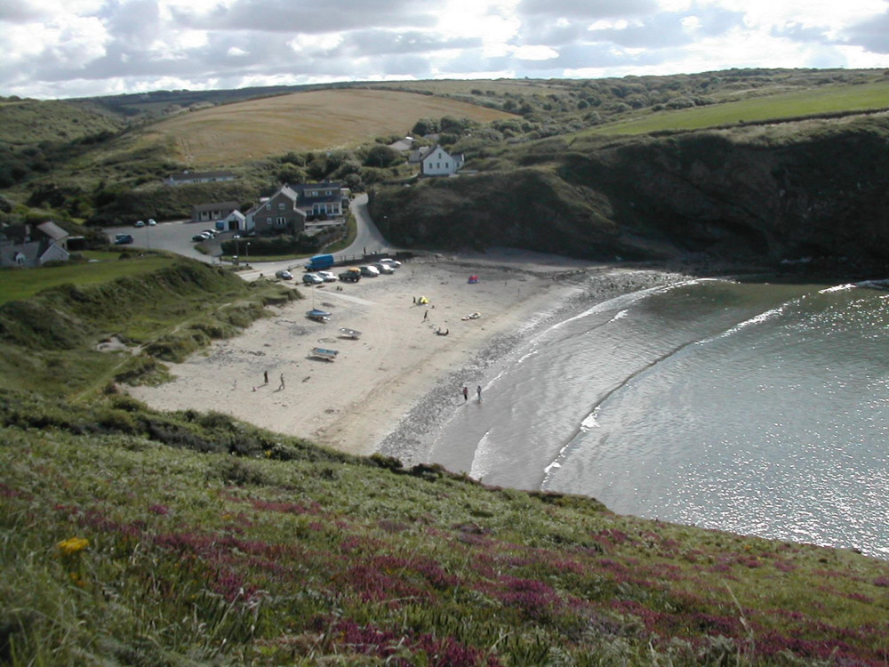 Fishguard Private Shore Excursion to St.Davids and Haverfordwest
