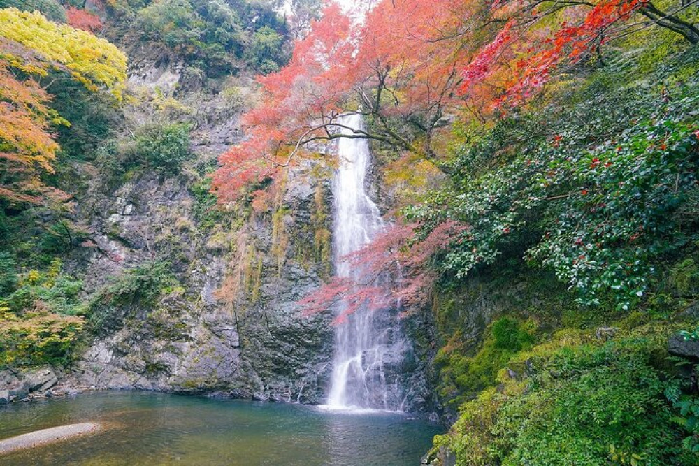 Osaka Early Bird Trail in Katsuo-ji and Minoh Falls